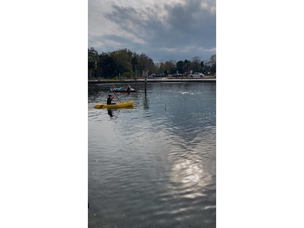 5400 Circle Drive Weeki Wachee FL 34607 - WEEKI WATCHEE RIVER - CANAL O6257808 image7