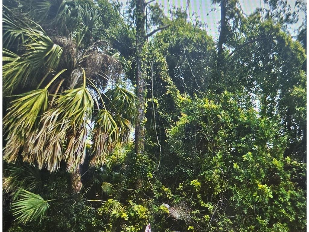 5400 Kaspar Street Port Charlotte FL 33981 C7511603 image3