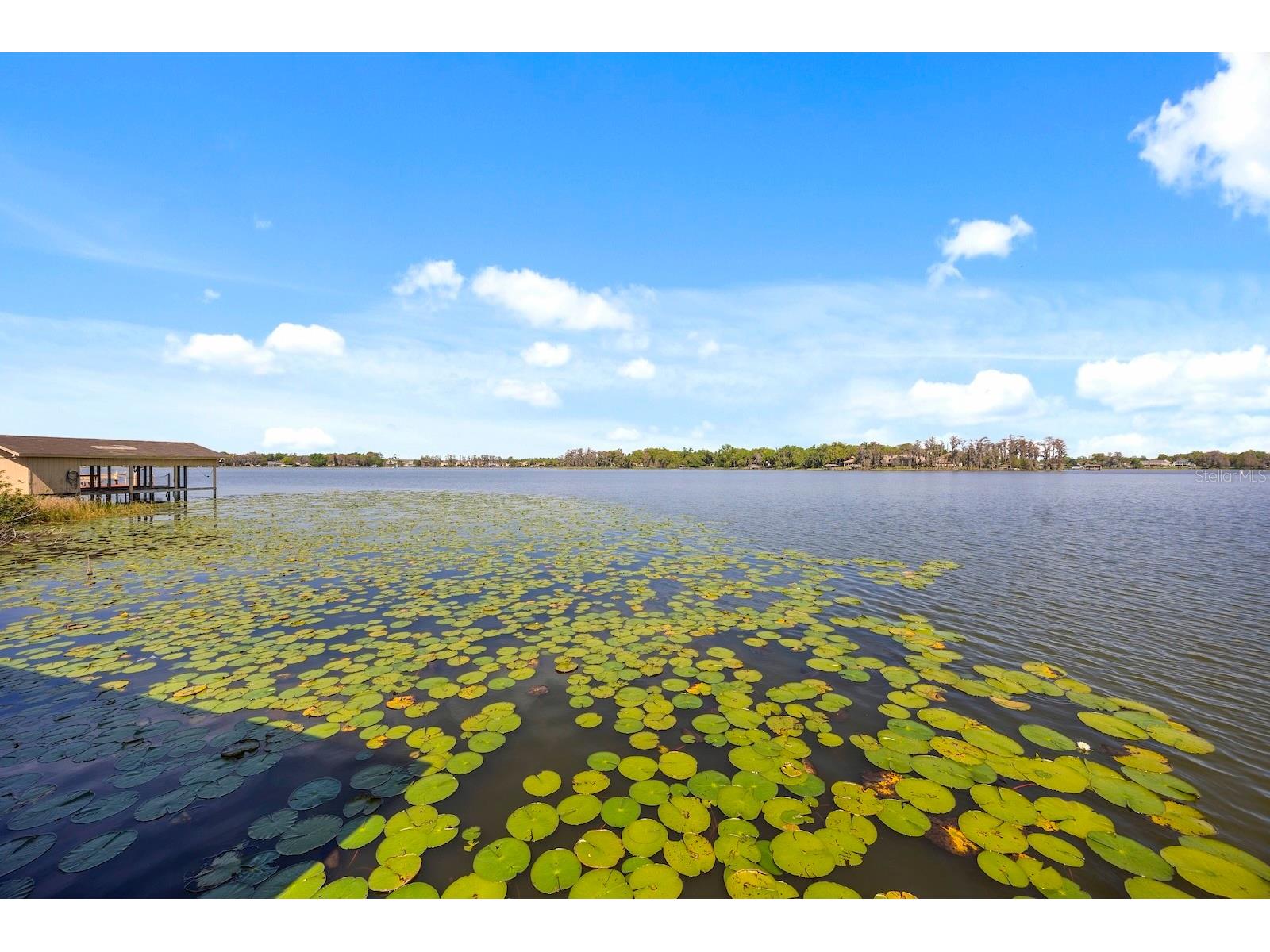 5400 Kenmore Lane Orlando FL 32839 - LAKE JESSAMINE O6412528 image64
