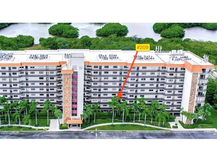 5400 Park Street N #209 Saint Petersburg FL 33709 TB8446446 image2