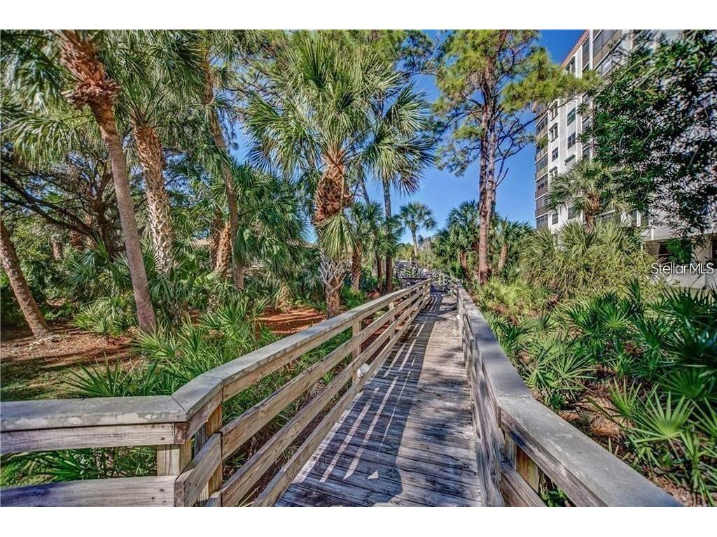 5400 Park Street N #209 Saint Petersburg FL 33709 TB8446446 image62