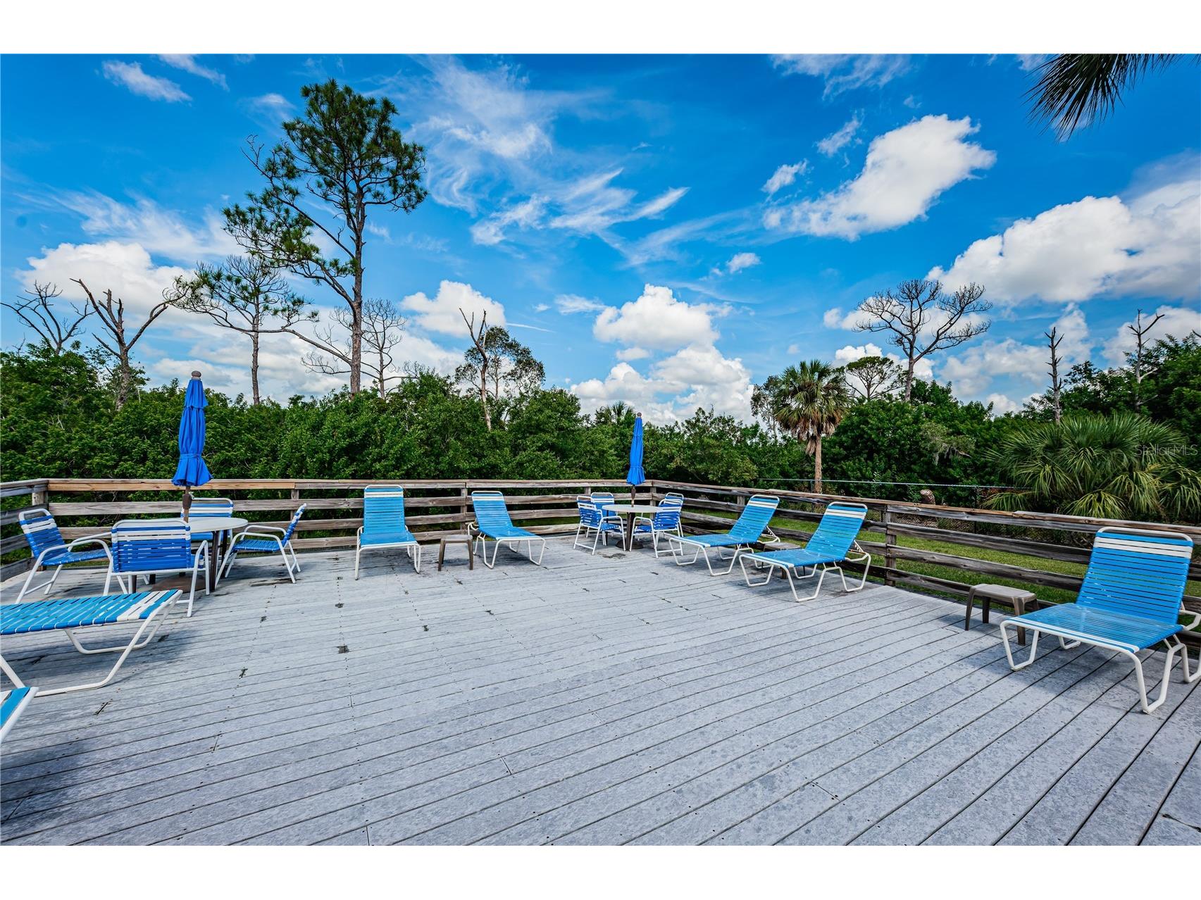 5400 Park Street N #708 Saint Petersburg FL 33709 - BAYOU TB8481801 image14