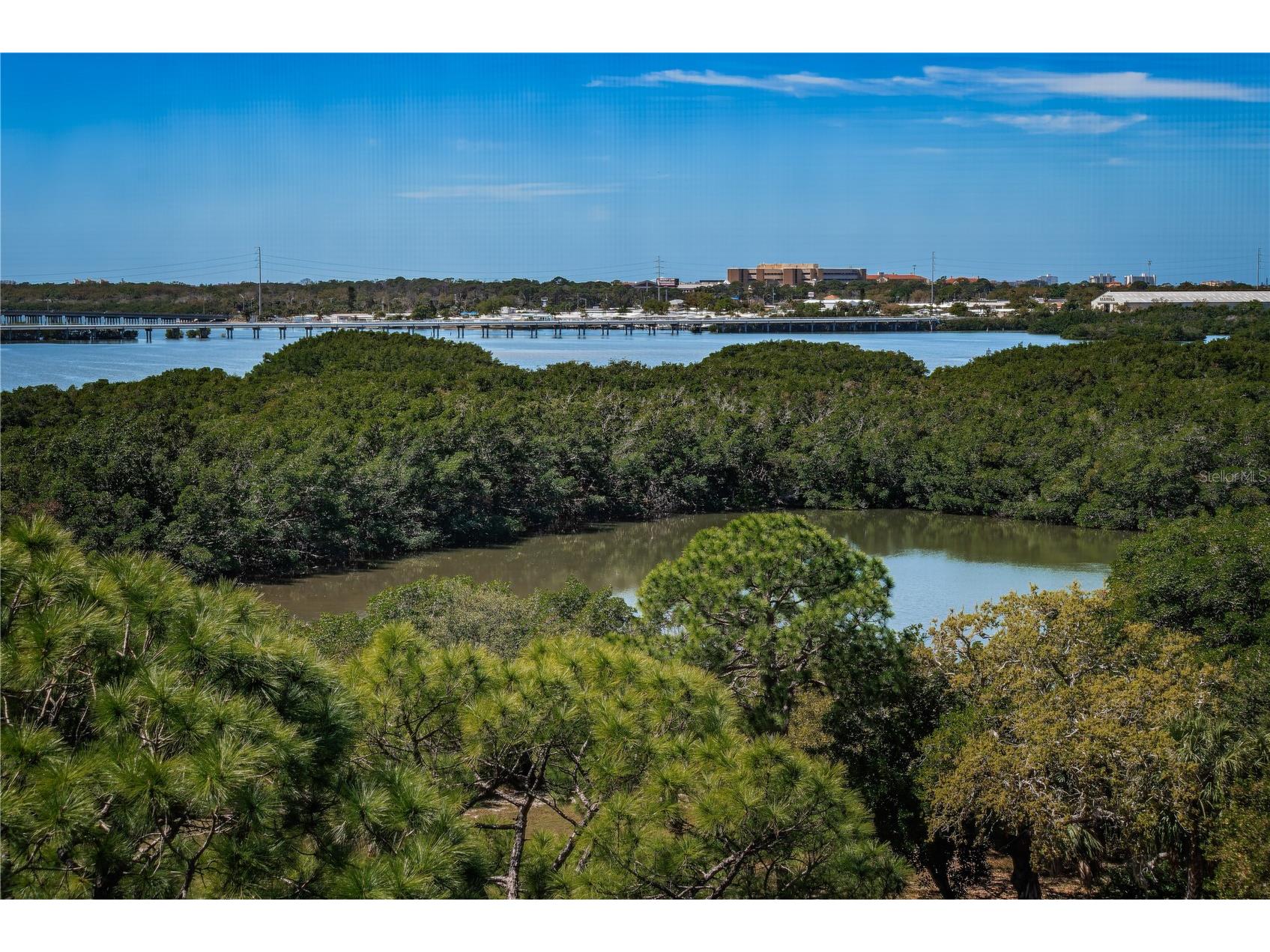 5400 Park Street N #708 Saint Petersburg FL 33709 - BAYOU TB8481801 image7