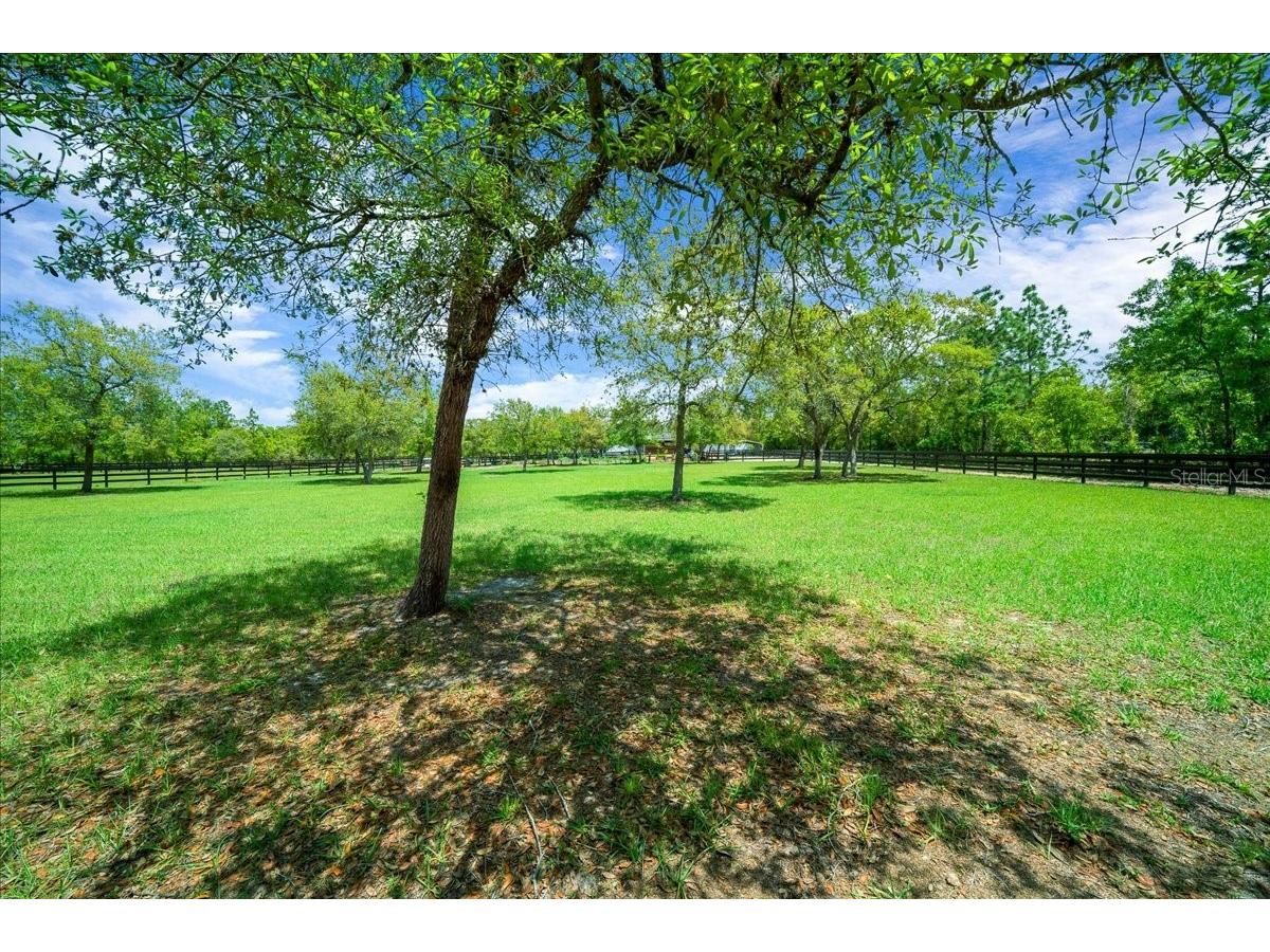 5400 W Yearling Drive Beverly Hills FL 34465 OM722564 image48