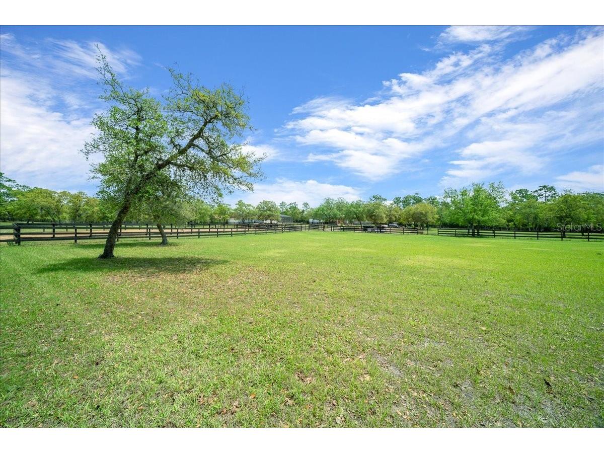 5400 W Yearling Drive Beverly Hills FL 34465 OM722564 image50