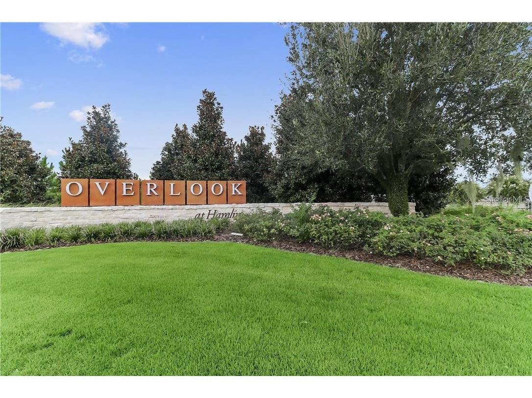 5401 Bowman Drive Winter Garden FL 34787 O6390128 image85