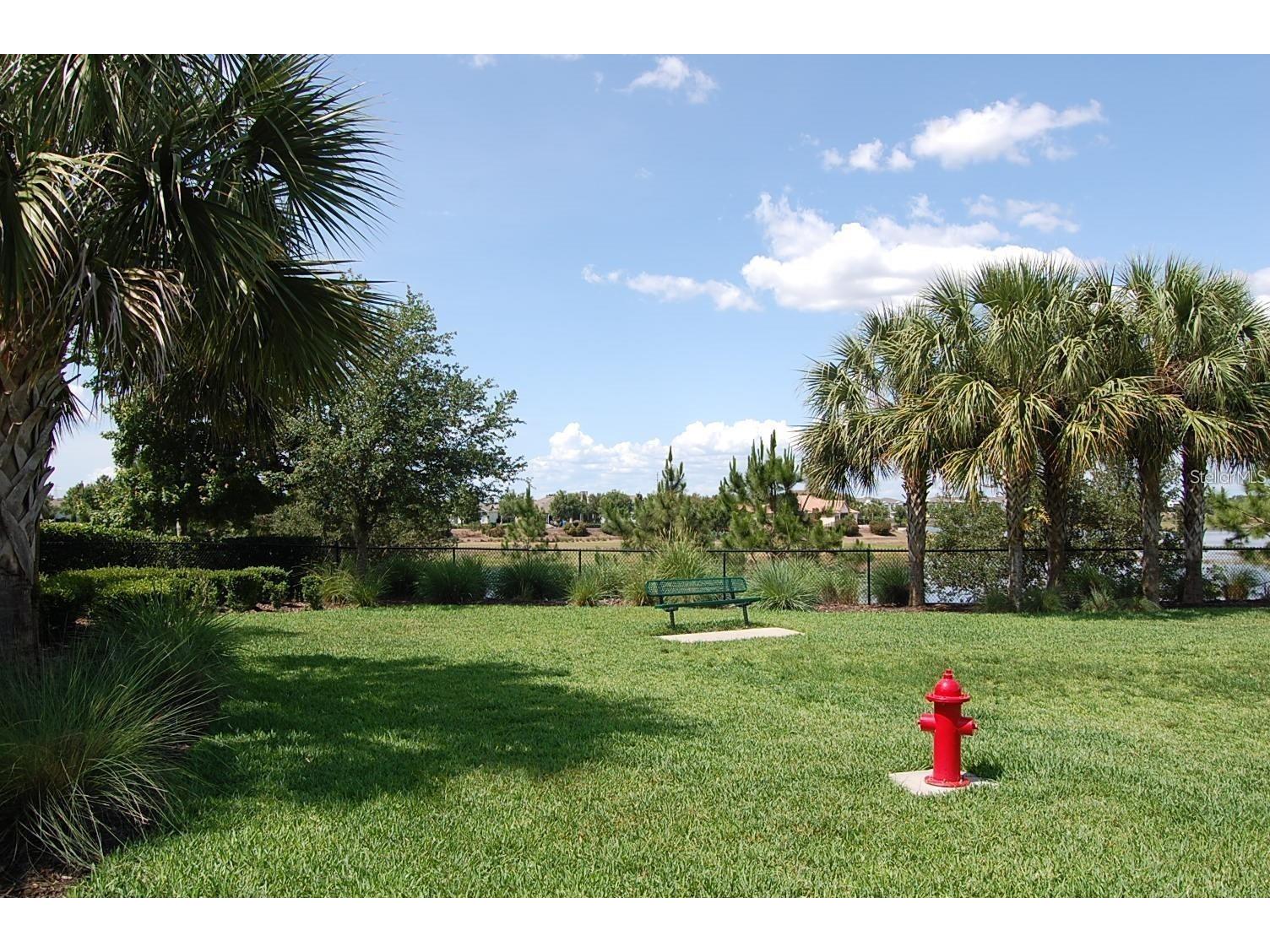 5401 Bowman Drive Winter Garden FL 34787 O6390128 image88