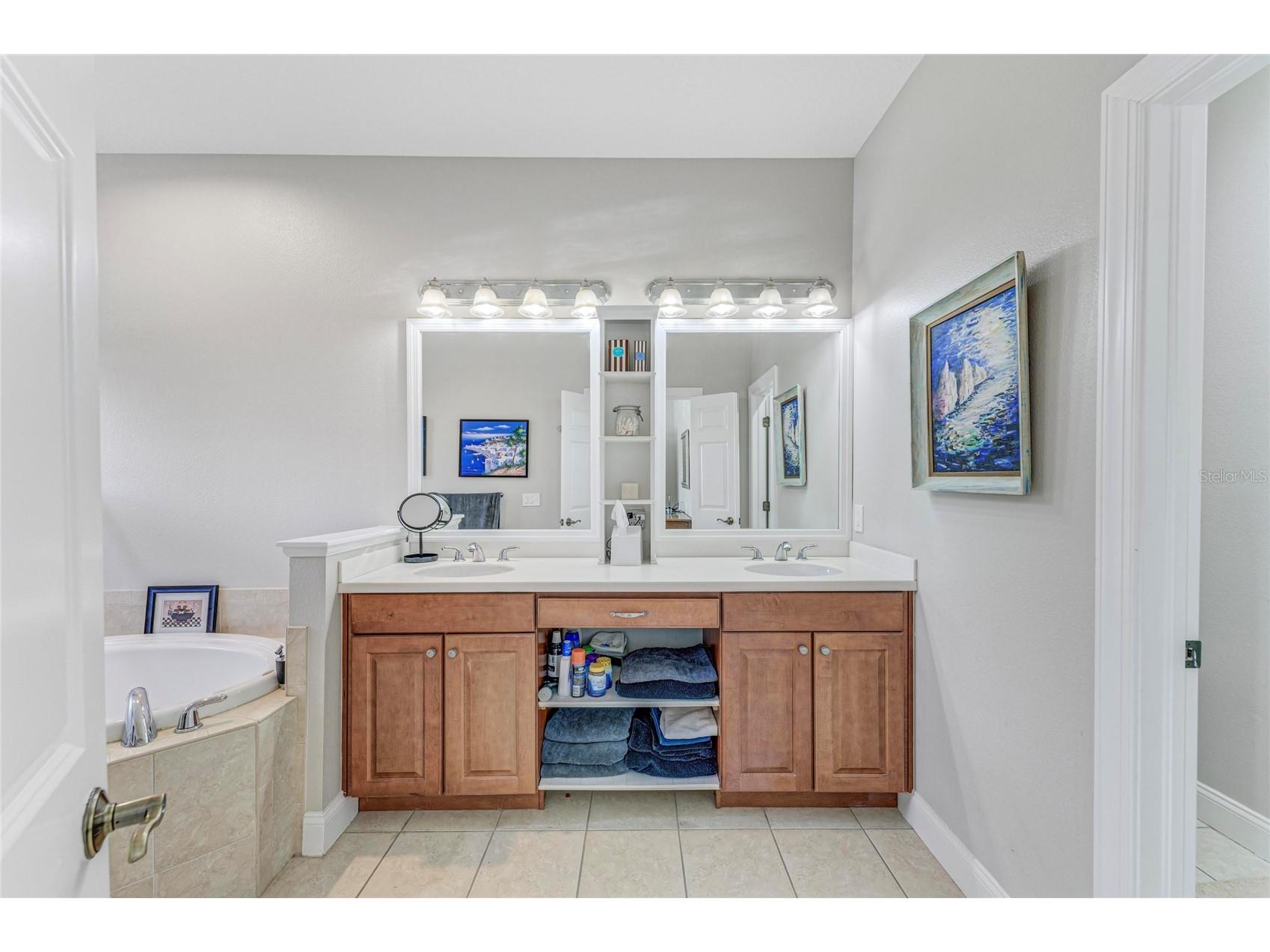 5401 Cafrey Place Apollo Beach FL 33572 A4686224 image19