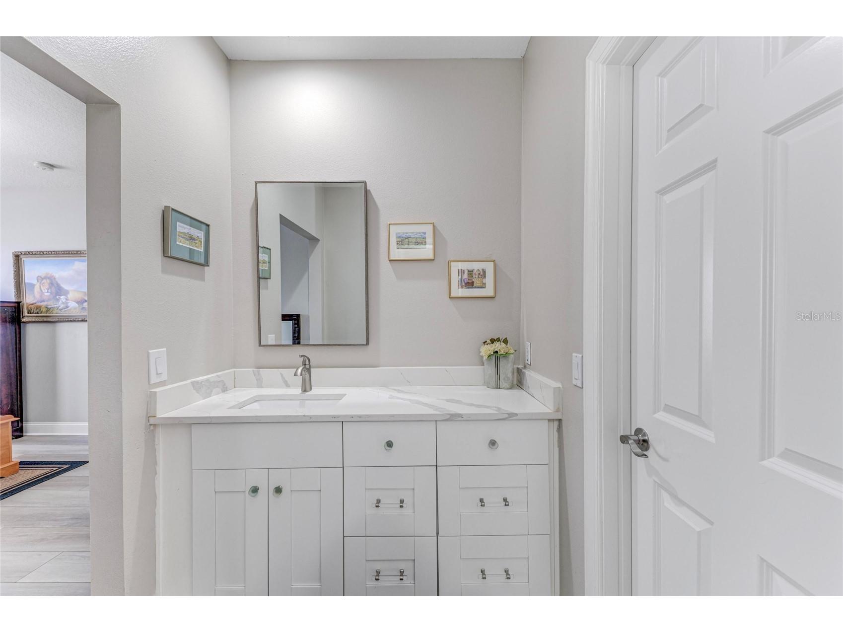 5401 Cafrey Place Apollo Beach FL 33572 A4686224 image27