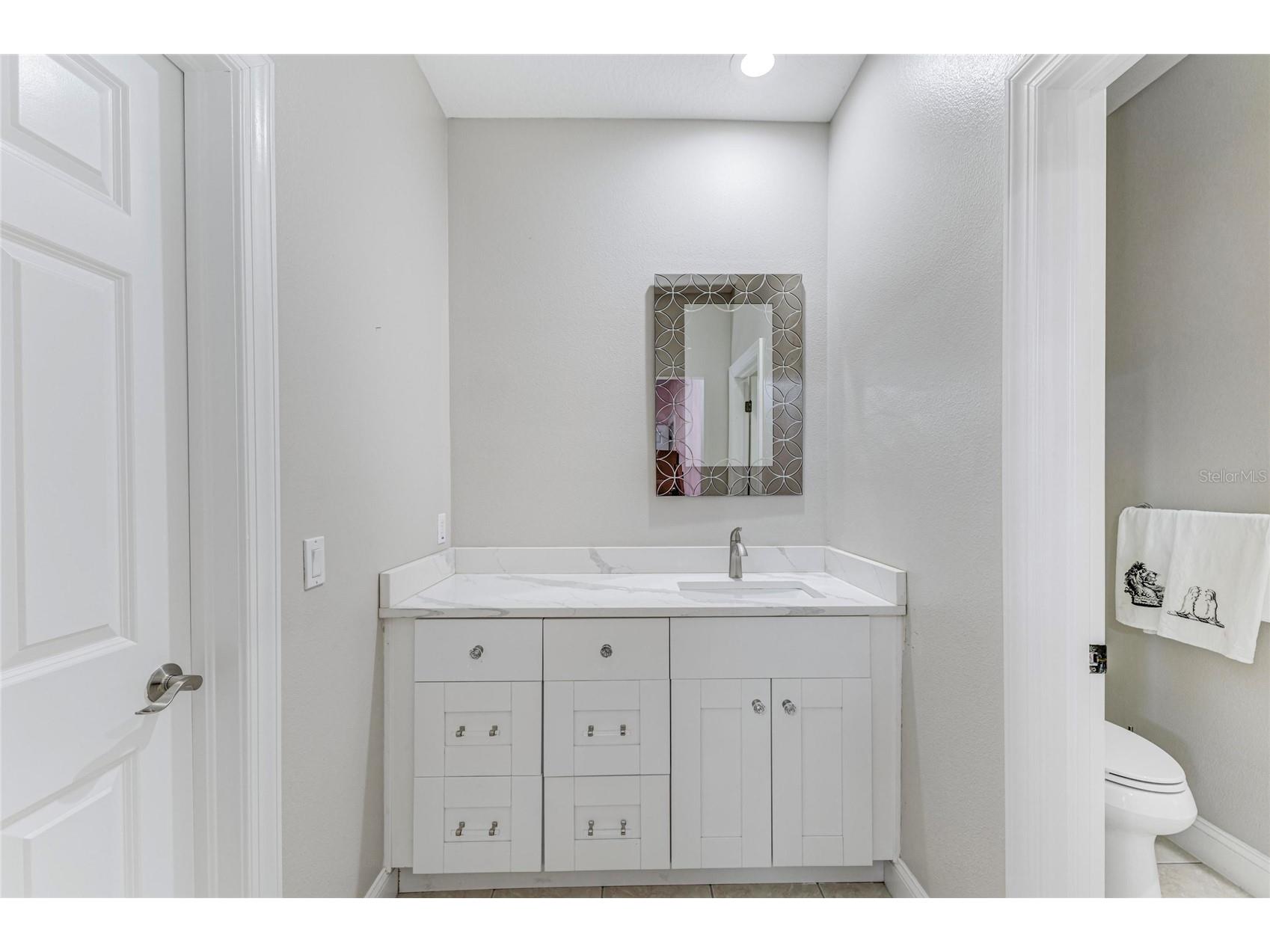 5401 Cafrey Place Apollo Beach FL 33572 A4686224 image28
