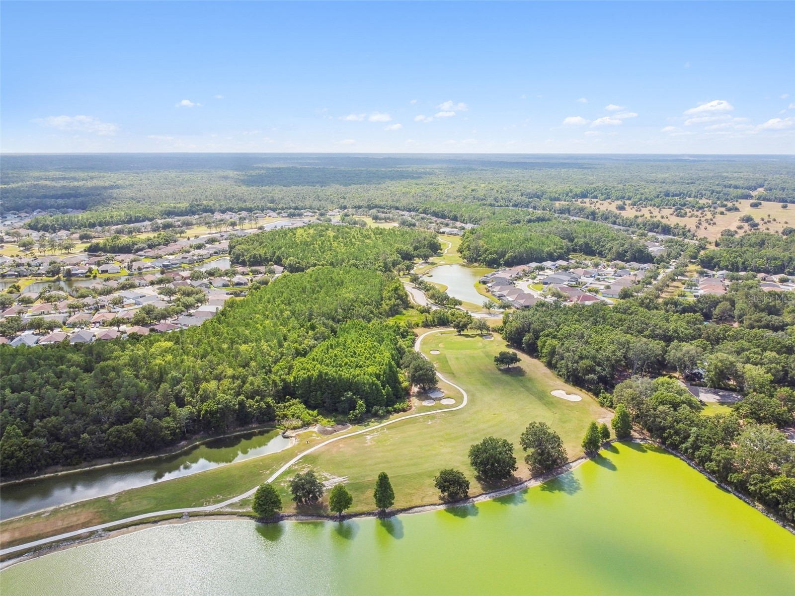 5401 Lookout Pass Wesley Chapel FL 33544 TB8507880 image100