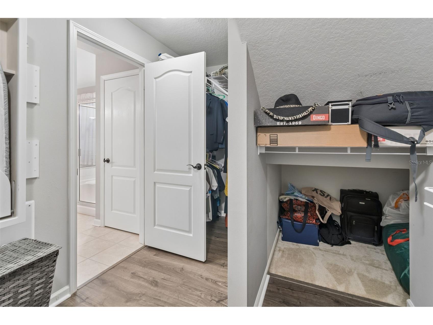 5401 Lookout Pass Wesley Chapel FL 33544 TB8507880 image35
