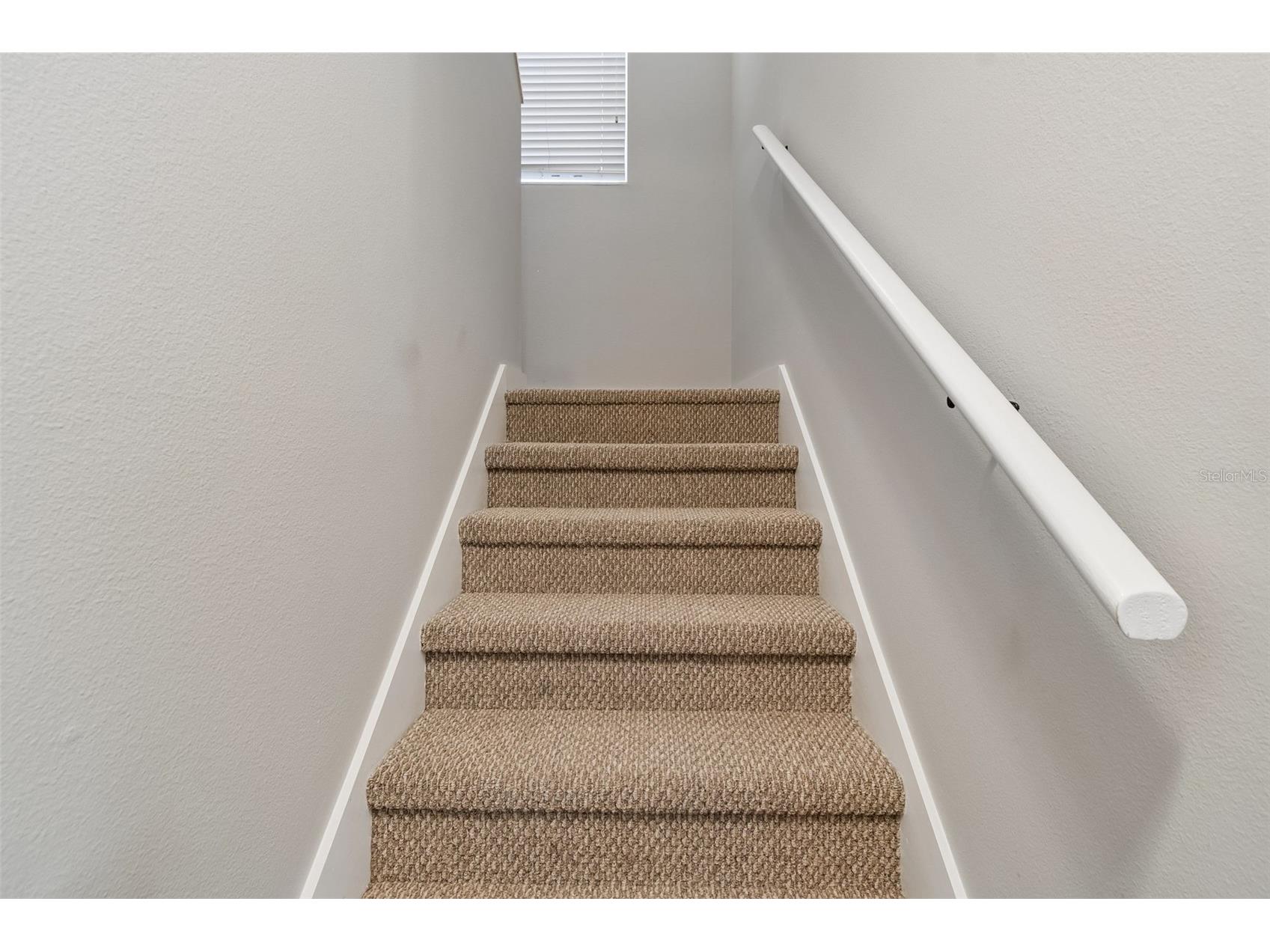 5401 Lookout Pass Wesley Chapel FL 33544 TB8507880 image46