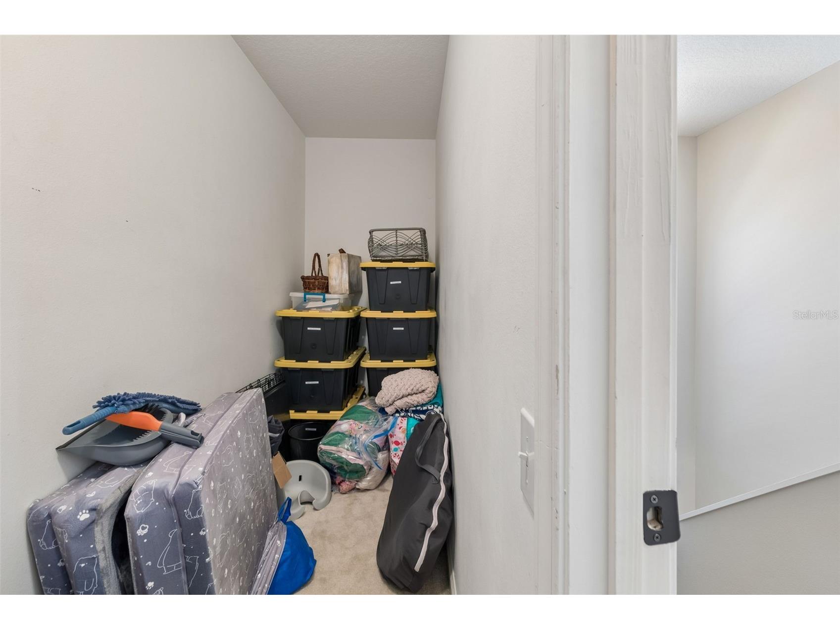 5401 Lookout Pass Wesley Chapel FL 33544 TB8507880 image50