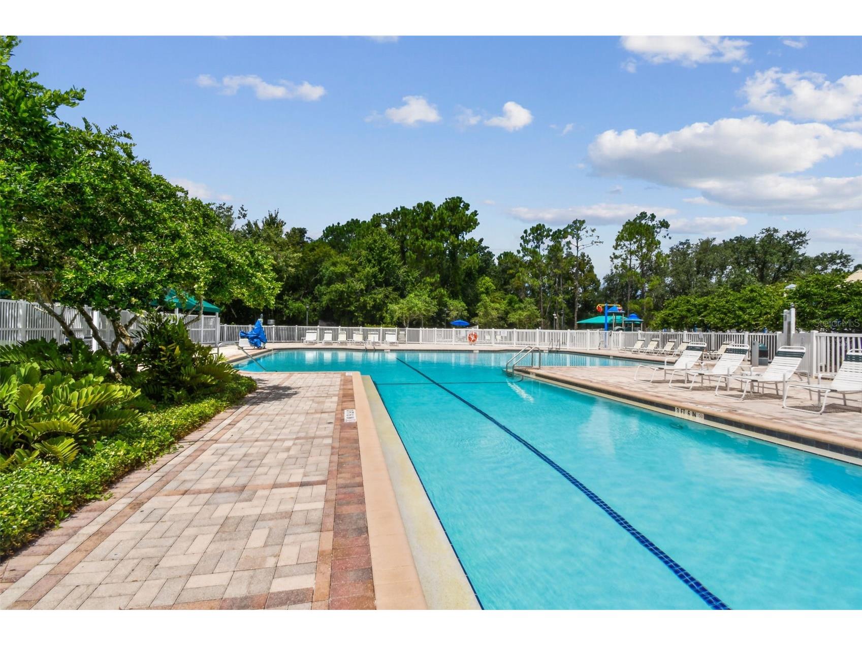 5401 Lookout Pass Wesley Chapel FL 33544 TB8507880 image75