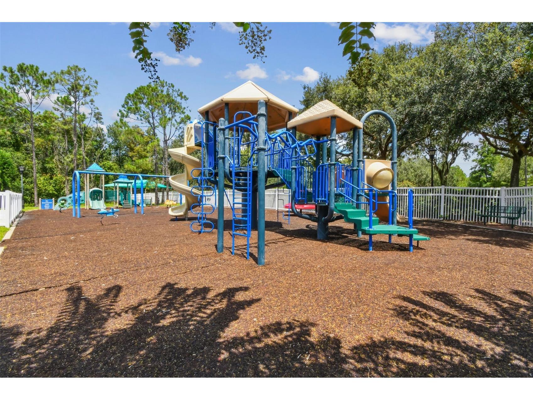 5401 Lookout Pass Wesley Chapel FL 33544 TB8507880 image83