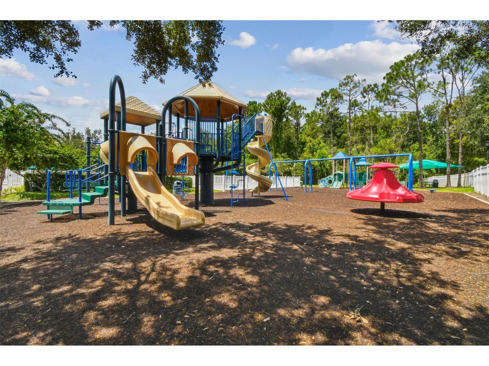 5401 Lookout Pass Wesley Chapel FL 33544 TB8507880 image84