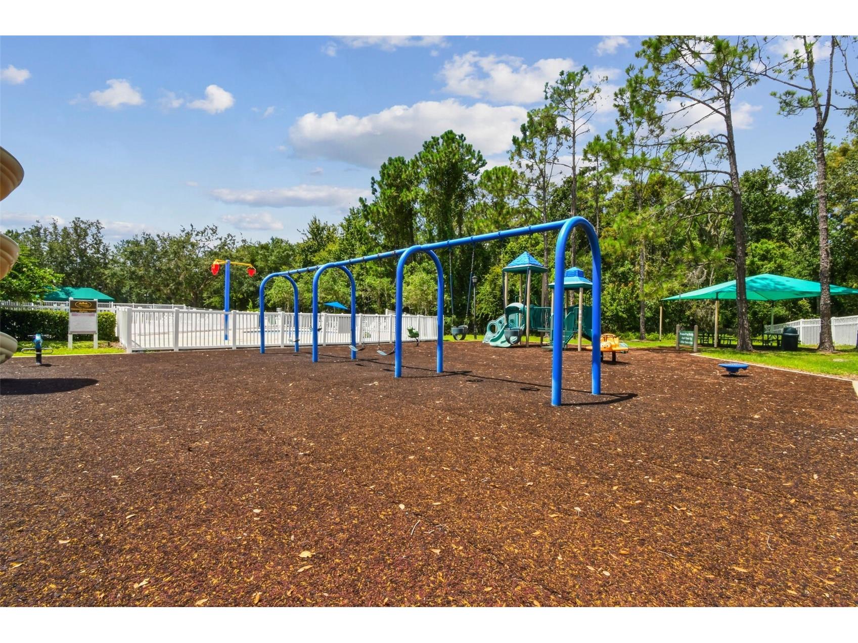 5401 Lookout Pass Wesley Chapel FL 33544 TB8507880 image85