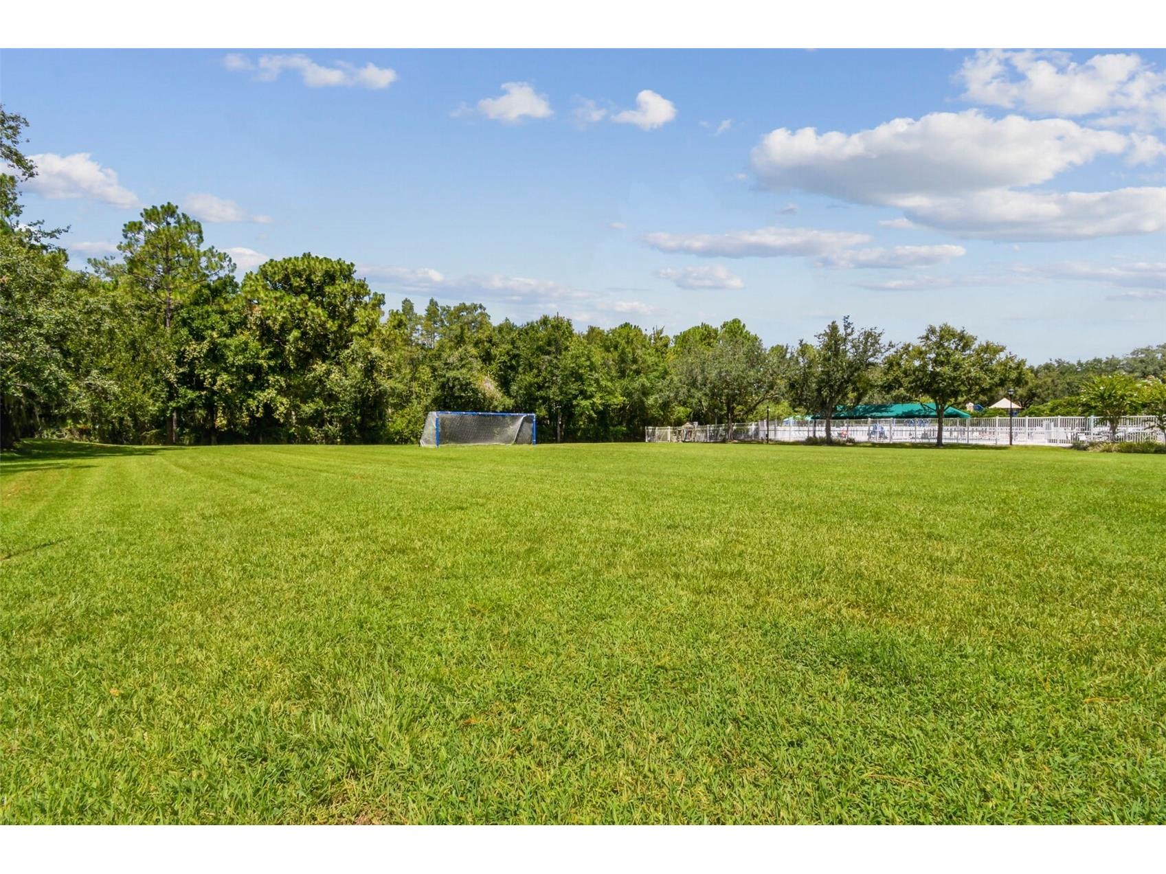 5401 Lookout Pass Wesley Chapel FL 33544 TB8507880 image90