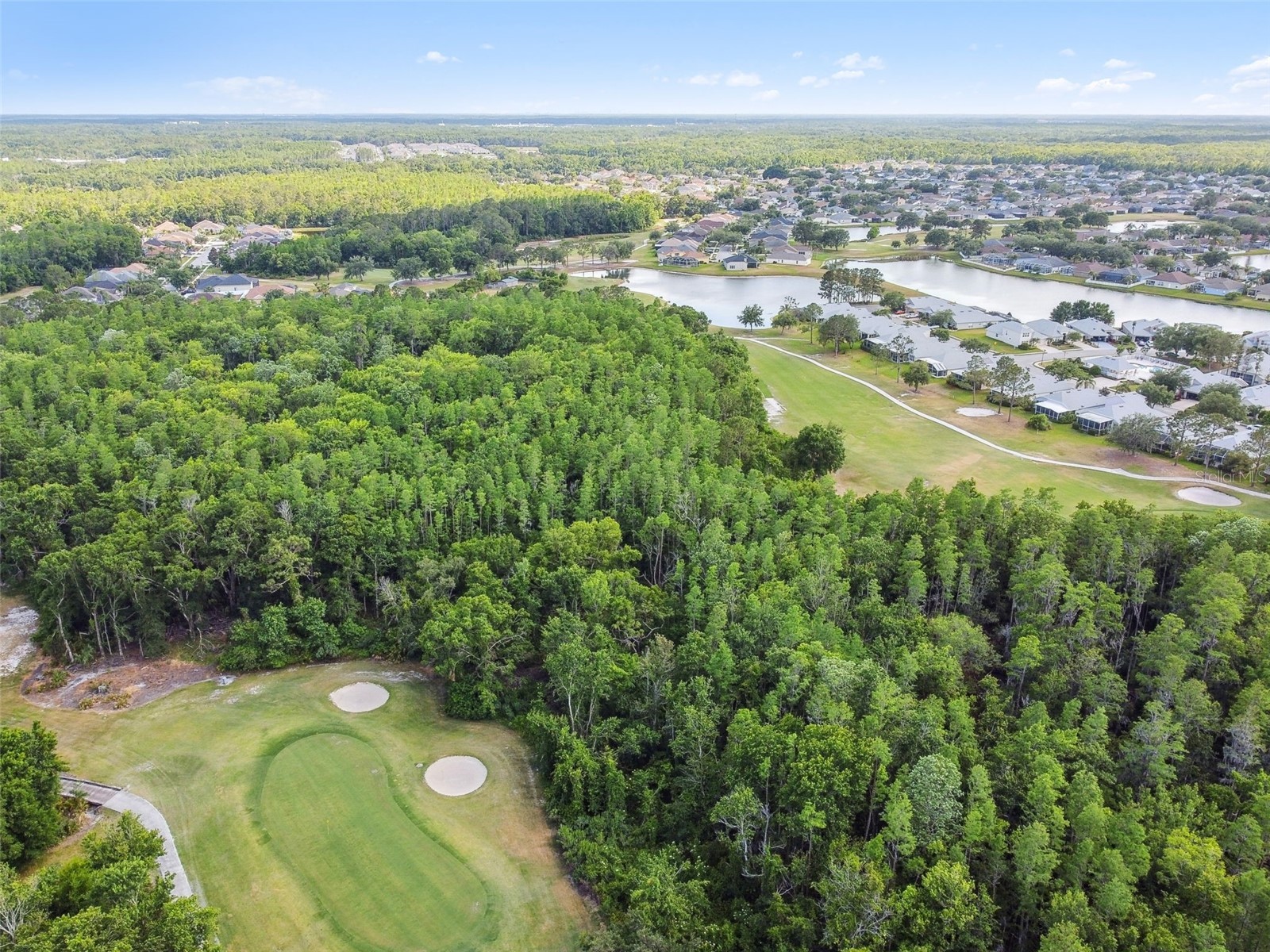 5401 Lookout Pass Wesley Chapel FL 33544 TB8507880 image97
