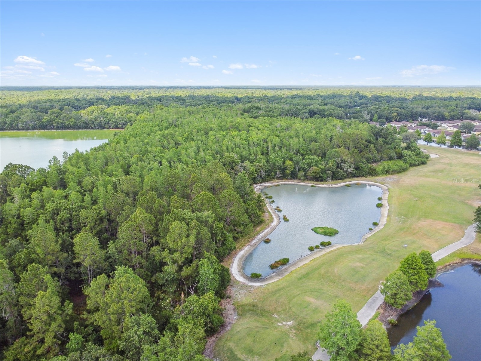 5401 Lookout Pass Wesley Chapel FL 33544 TB8507880 image98