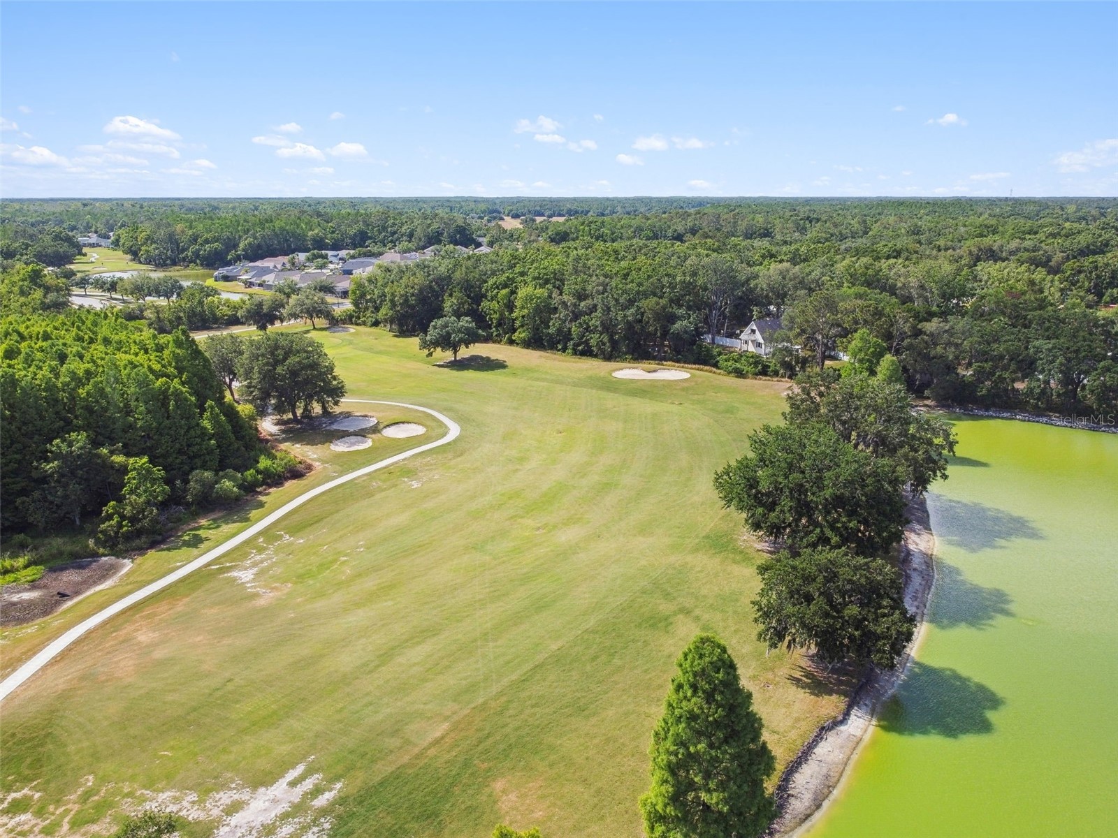 5401 Lookout Pass Wesley Chapel FL 33544 TB8507880 image99