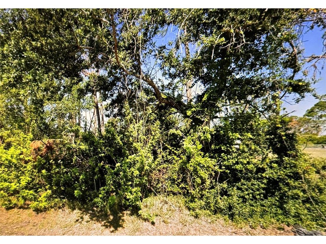 5401 Winfree Street Port Charlotte FL 33981 T3523560 image1