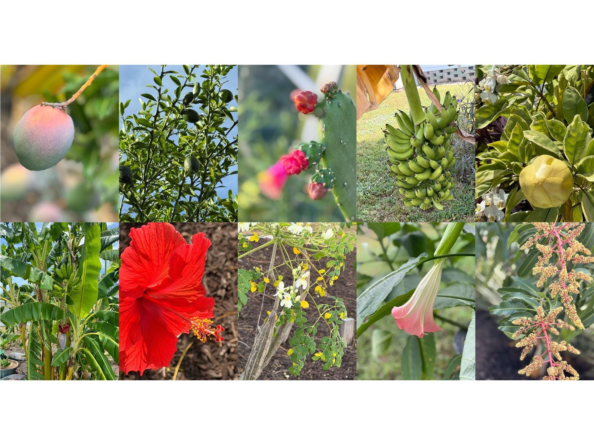 5402 Chateau Lane Bradenton FL 34207 A4657291 image23