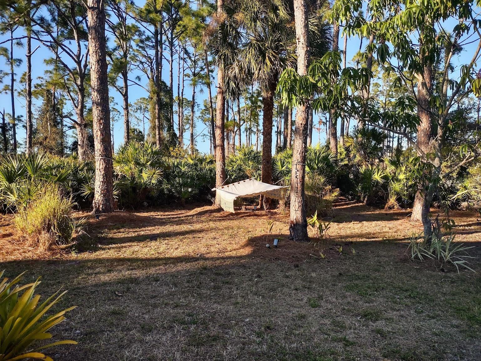 5402 Fleming Street Port Charlotte FL 33981 A4681322 image33