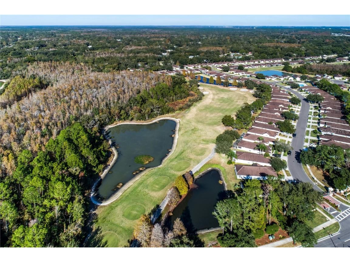 5402 Spectacular Bid Drive Wesley Chapel FL 33544 TB8453033 image33