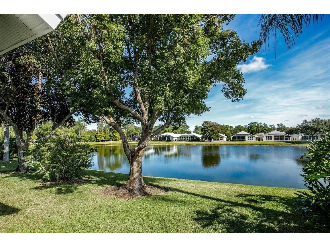 5402 Spectacular Bid Drive Wesley Chapel FL 33544 TB8453033 image8