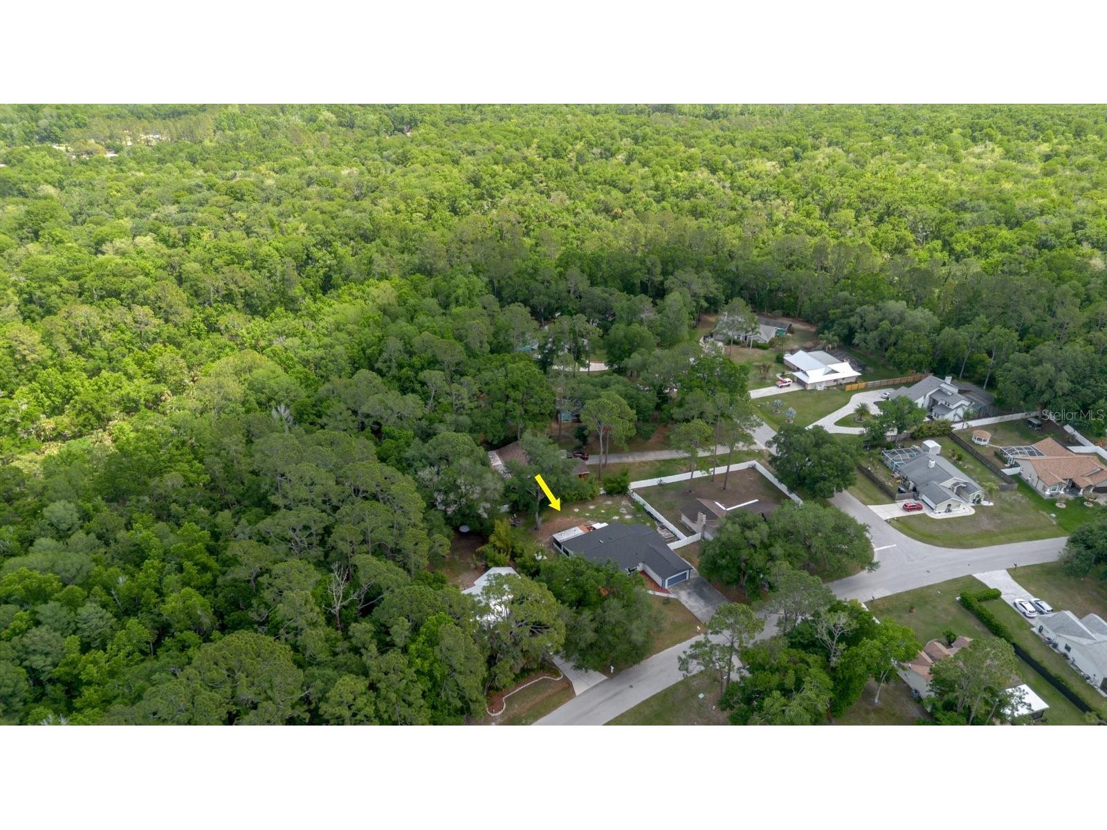 5402 Swallow Drive Land O Lakes FL 34639 TB8496621 image40