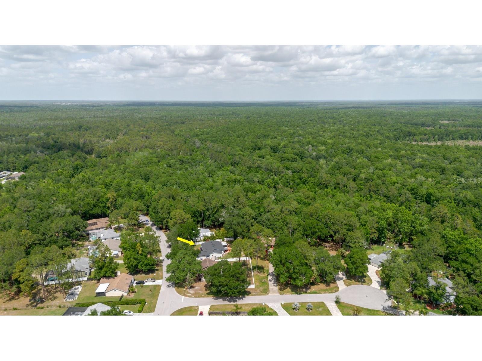 5402 Swallow Drive Land O Lakes FL 34639 TB8496621 image41