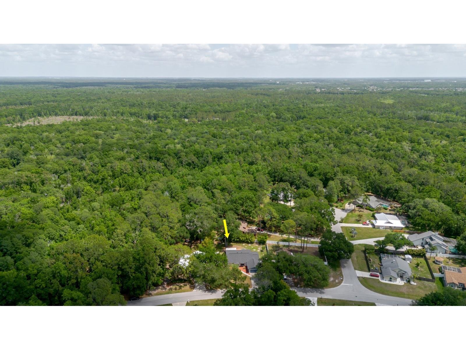 5402 Swallow Drive Land O Lakes FL 34639 TB8496621 image42