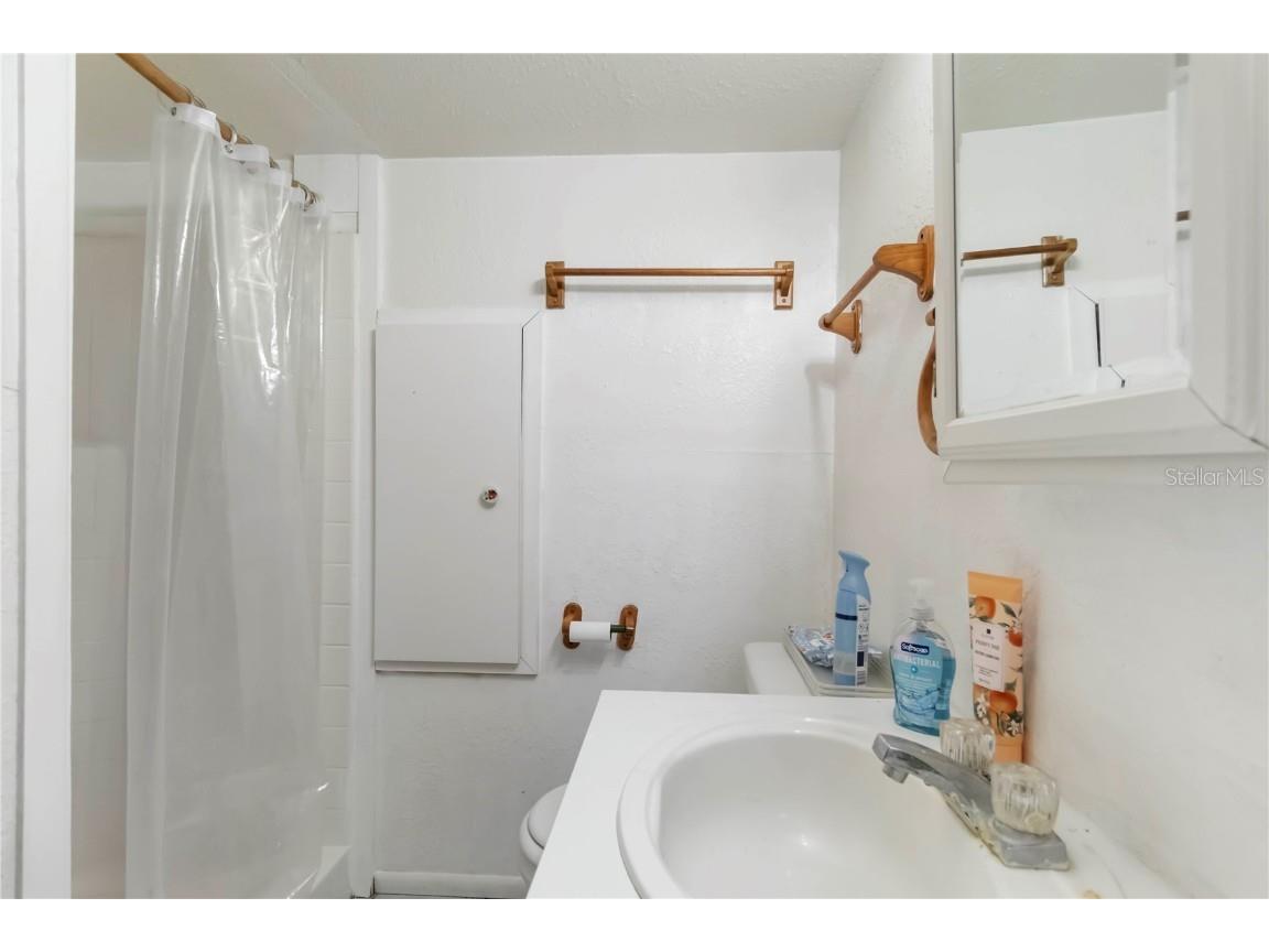 5403 Fleming Street Port Charlotte FL 33981 - MYAKKA RIVER A4654472 image26