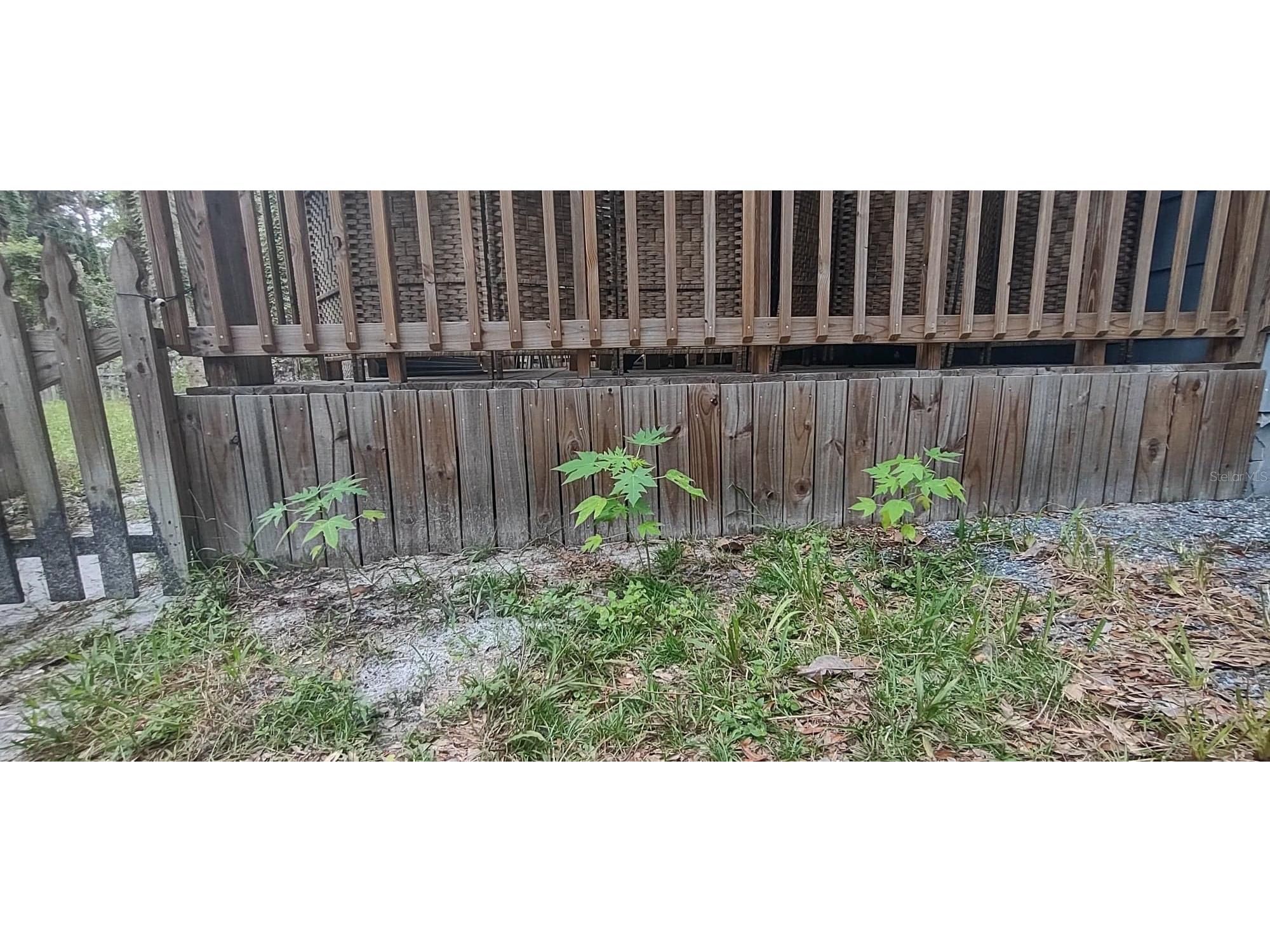 5403 Highway 40 W Yankeetown FL 34498 T3539995 image25