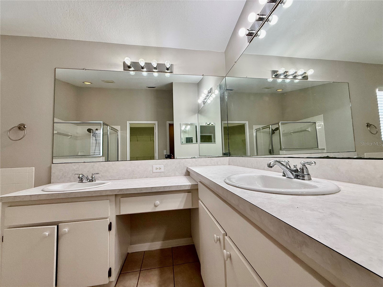 5403 Lindburg Street Riverview FL 33578 TB8509025 image4