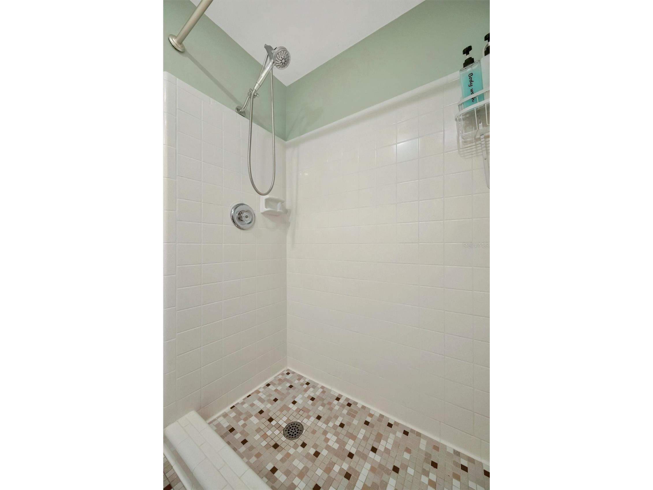 5403 Palmetto Point Drive Palmetto FL 34221 A4684594 image61