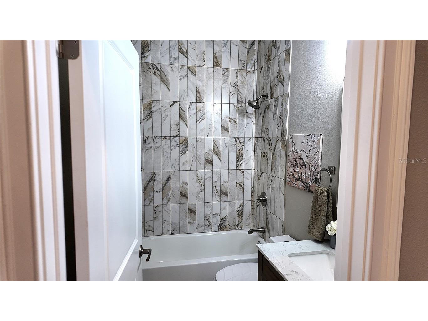 5403 Wesley Chapel Loop Wesley Chapel FL 33543 TB8446055 image18