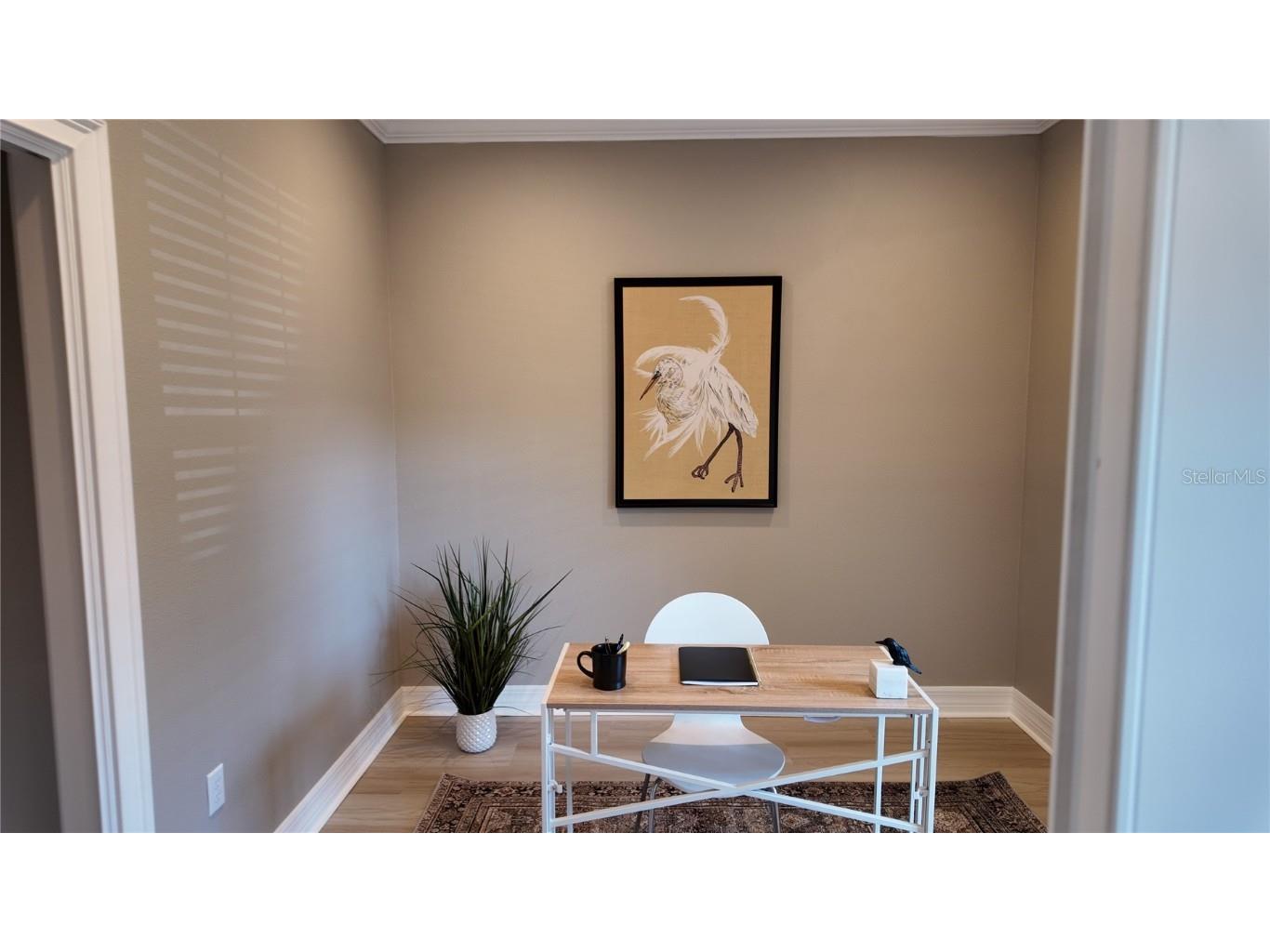 5403 Wesley Chapel Loop Wesley Chapel FL 33543 TB8446055 image9