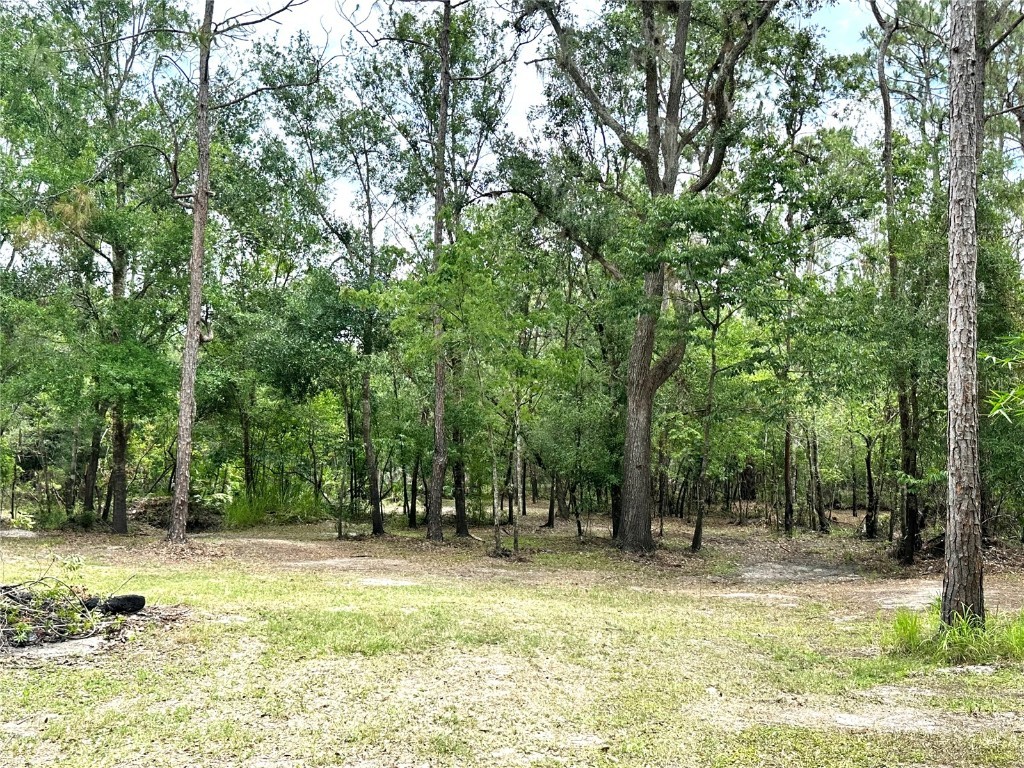 5404 NE River Bend Road Arcadia FL 34266 C7474788 image1