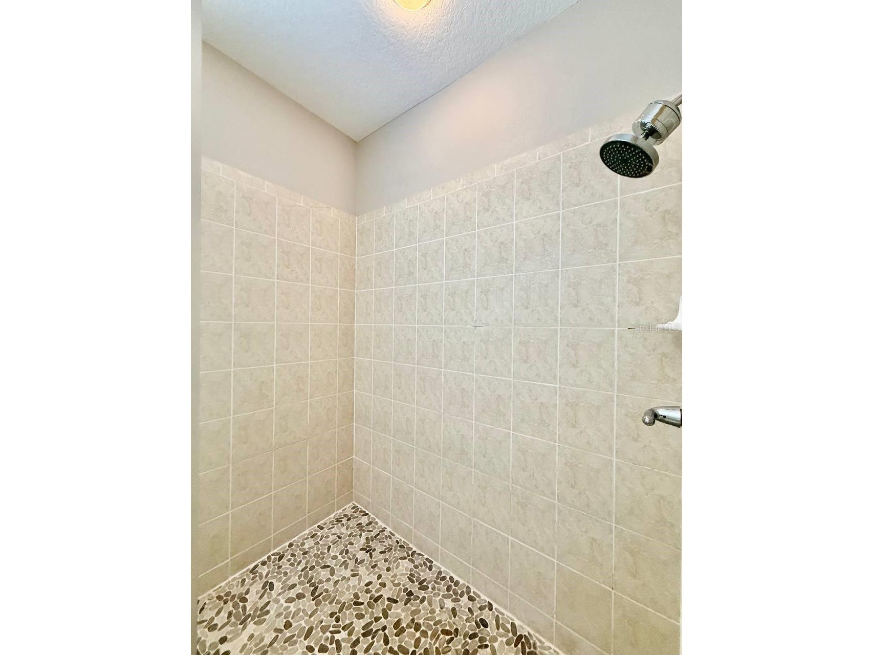5405 Cafrey Place Apollo Beach FL 33572 TB8517903 image31