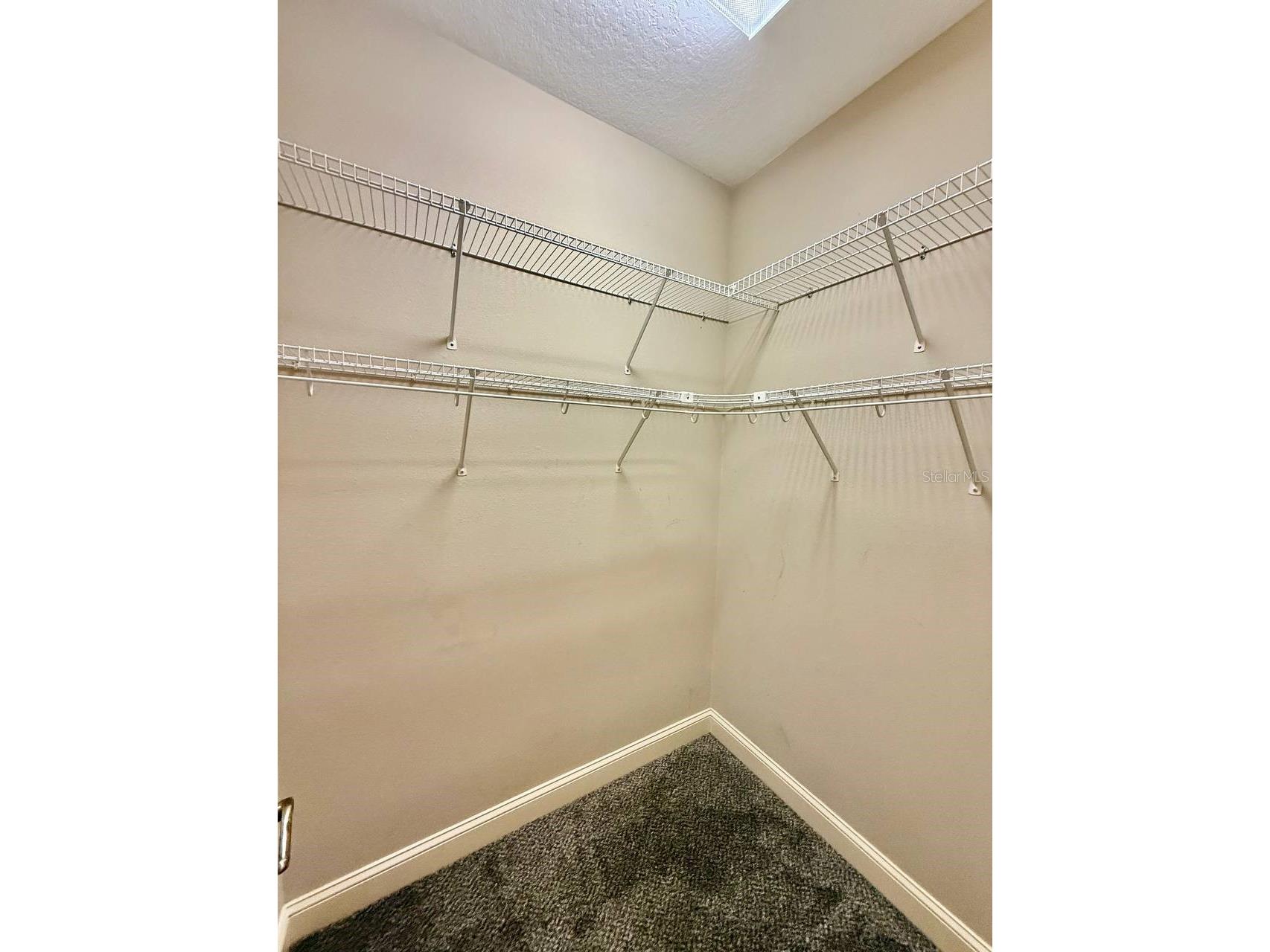 5405 Cafrey Place Apollo Beach FL 33572 TB8517903 image43