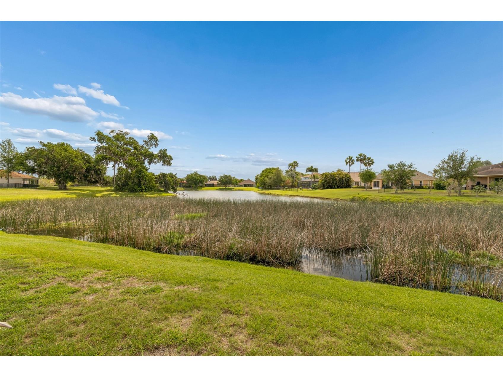 5405 Hammock View Lane Apollo Beach FL 33572 TB8494147 image50