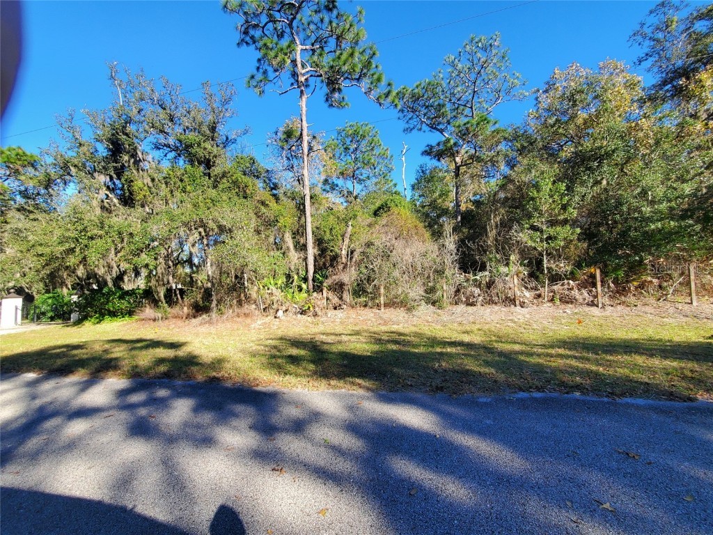 5405 Rocking Horse Road Orlando FL 32817 U8204853 image1