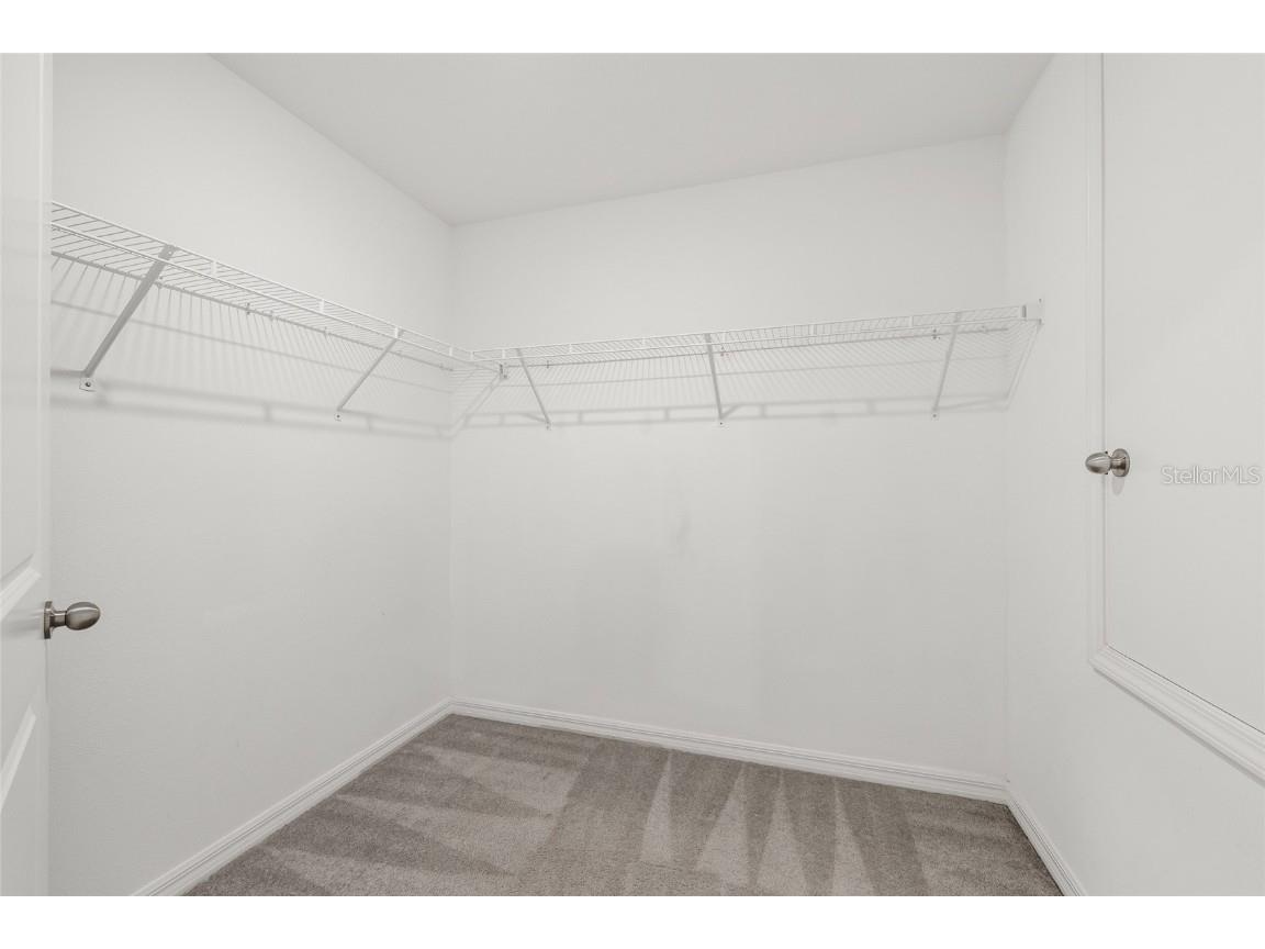 5406 Amaryllis Garden Street Apollo Beach FL 33572 TB8454453 image26