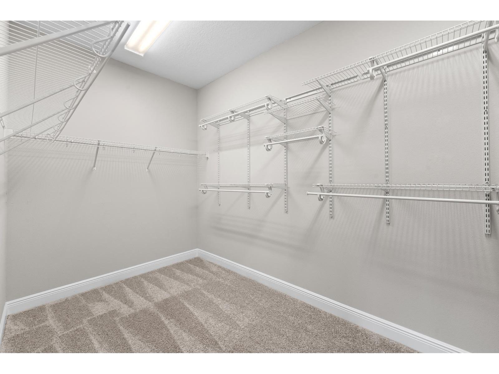 5406 Limelight Drive Apollo Beach FL 33572 TB8523673 image22