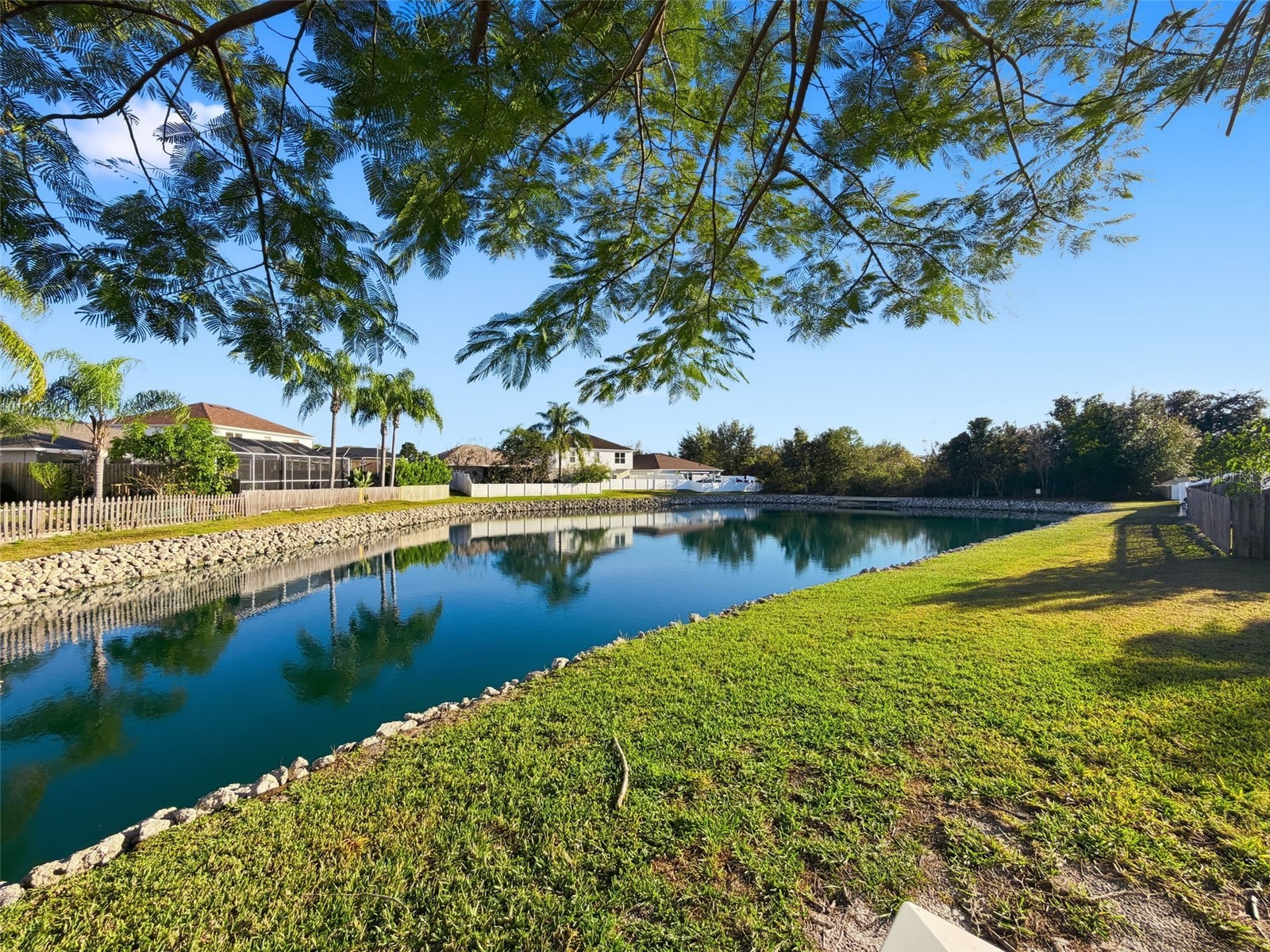 5407 Treig Lane Wesley Chapel FL 33545 TB8466669 image41