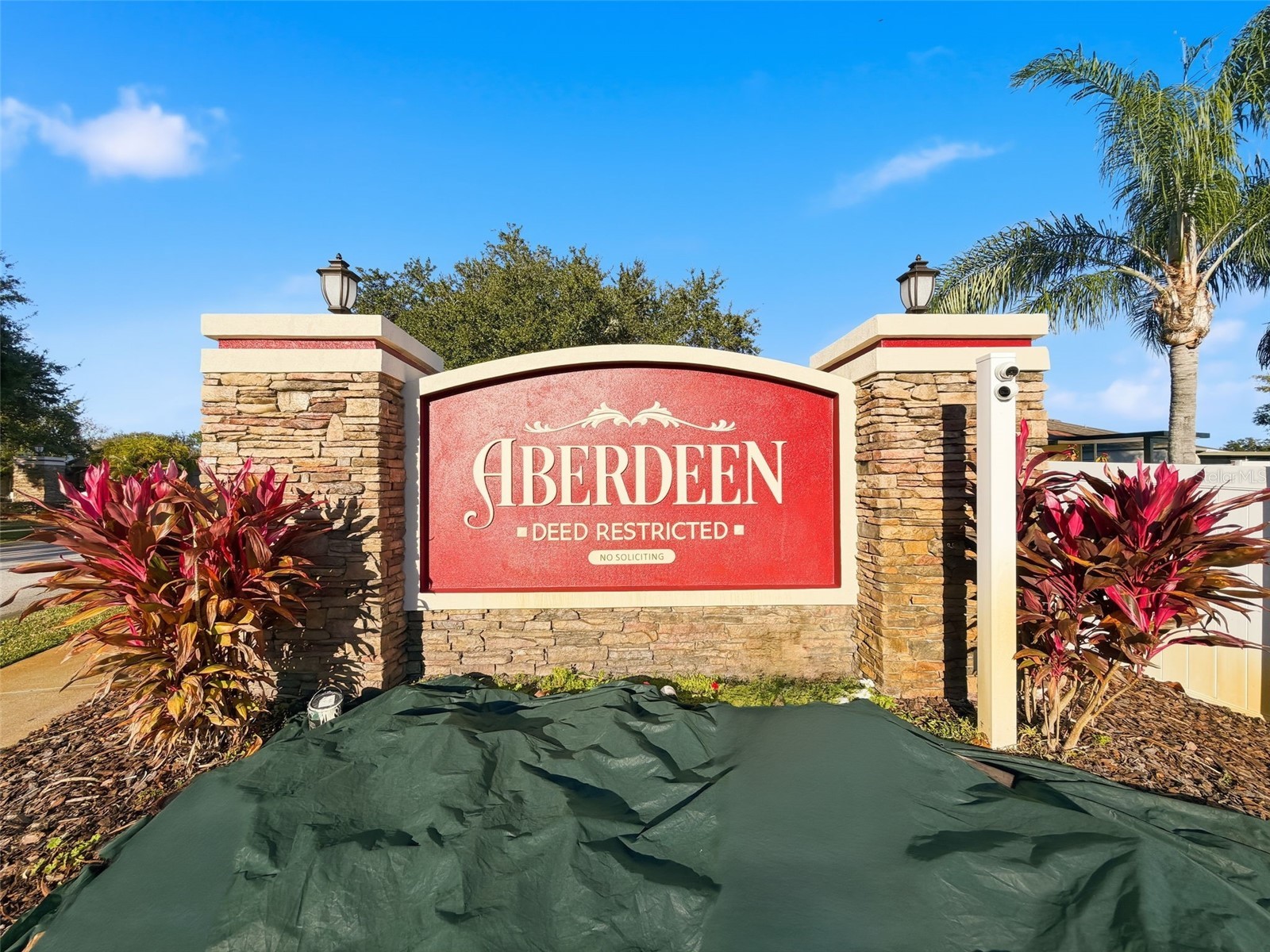 5407 Treig Lane Wesley Chapel FL 33545 TB8466669 image67