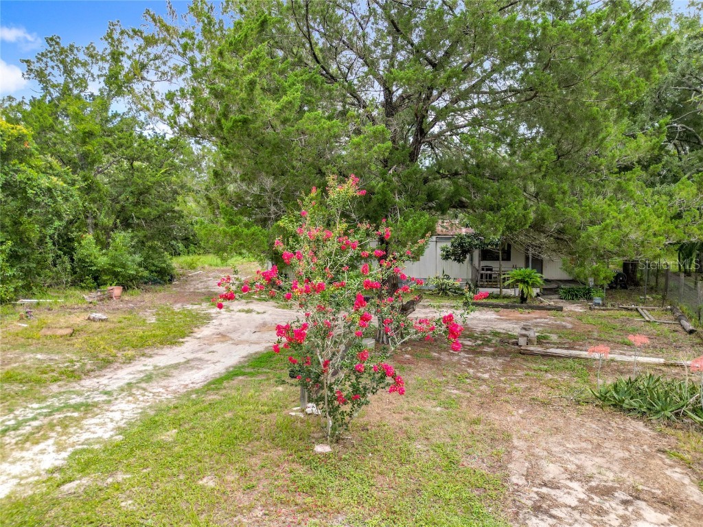 5407 W Richland Lane Homosassa FL 34446 S5130816 image26